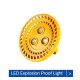 led explosion proof light