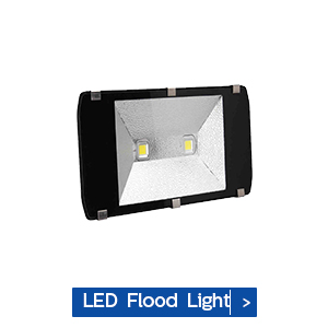 led Flood light